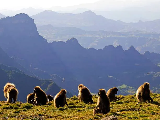 Simien Mountains Trekking